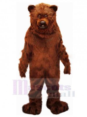 Ours costume de mascotte