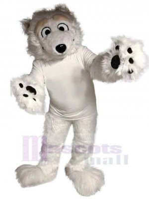 Ours costume de mascotte