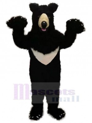 Ours costume de mascotte