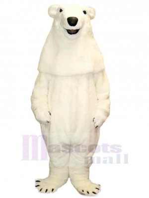Ours costume de mascotte