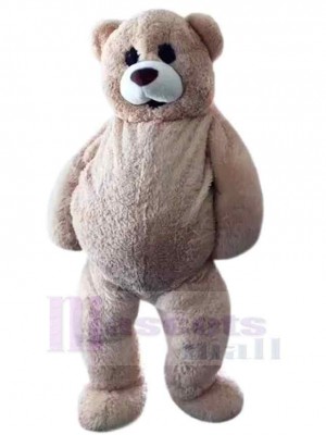 Ours costume de mascotte