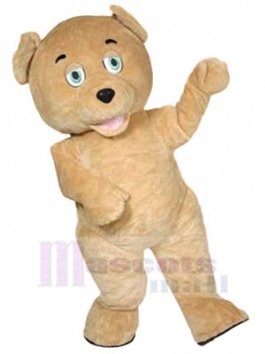 Ours costume de mascotte