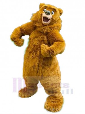 Ours costume de mascotte
