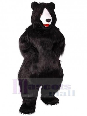 Ours costume de mascotte