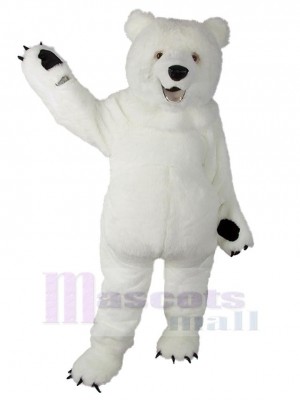 Ours costume de mascotte