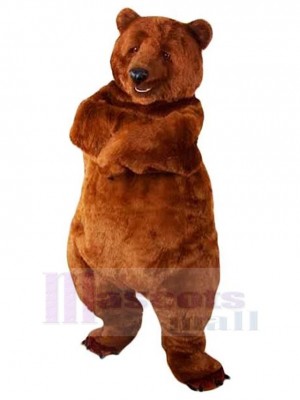 Ours costume de mascotte
