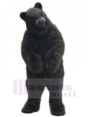 Ours costume de mascotte