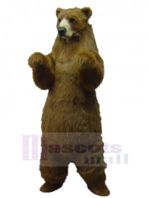 Ours costume de mascotte