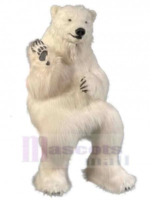 Ours costume de mascotte