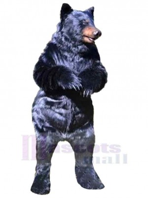 Ours costume de mascotte