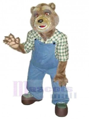 Ours costume de mascotte