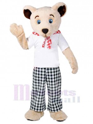 Ours costume de mascotte