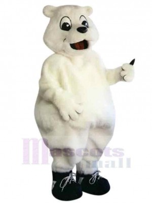 Superbe ours polaire Mascotte Costume Pour adultes Têtes de mascotte