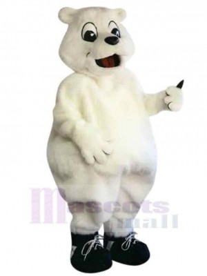 Ours costume de mascotte