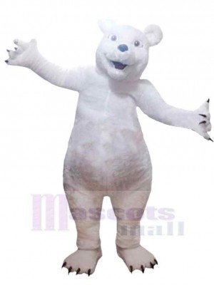 Ours costume de mascotte