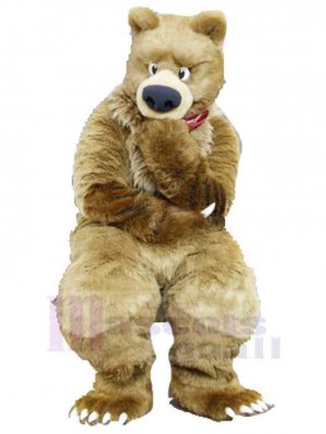 Ours costume de mascotte