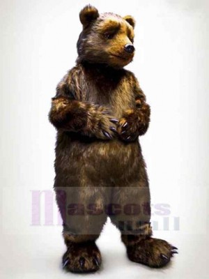Ours costume de mascotte