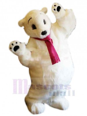 Ours costume de mascotte