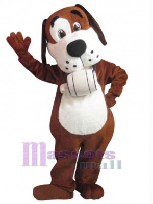 Chien costume de mascotte
