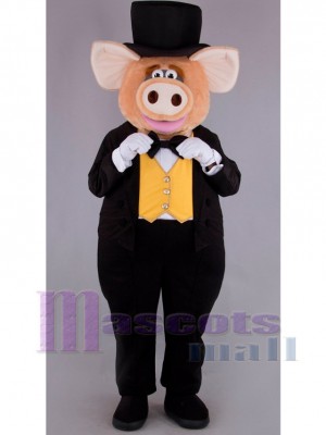 Cochon costume de mascotte