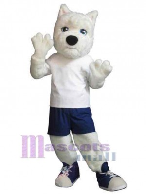 Chien costume de mascotte