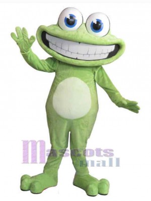 Grenouille costume de mascotte