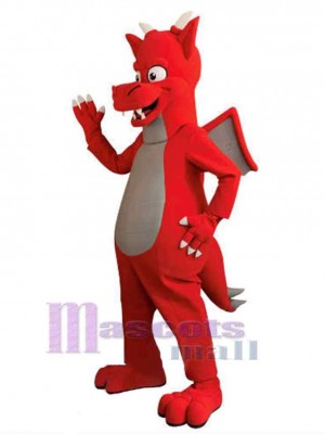 Dragon costume de mascotte