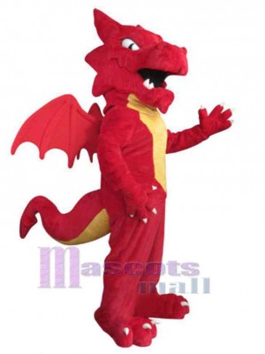 Dragon costume de mascotte