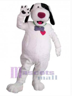 Chien costume de mascotte
