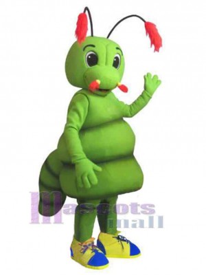 Ver costume de mascotte