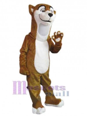 Belette costume de mascotte