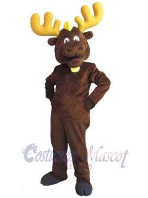 Élan costume de mascotte