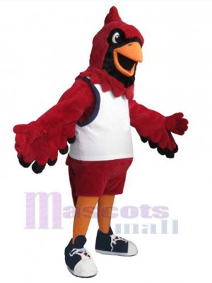 École Cardinal Oiseau Mascotte Costume Animal