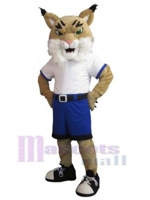 École Lynx Mascotte Costume Animal