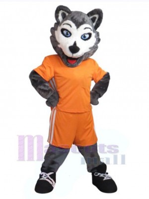 Chien costume de mascotte