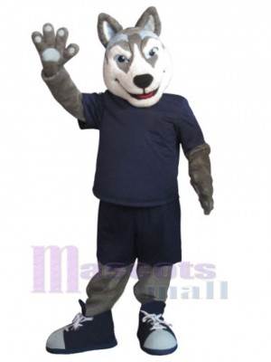 Chien costume de mascotte