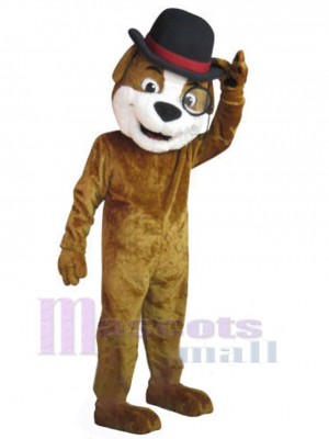 Chien costume de mascotte