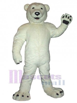 Ours blanc fort Mascotte Costume Animal