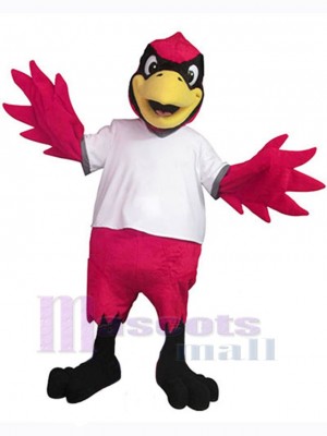 Oiseau cardinal mâle Mascotte Costume Animal