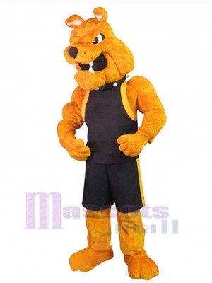 Chien costume de mascotte
