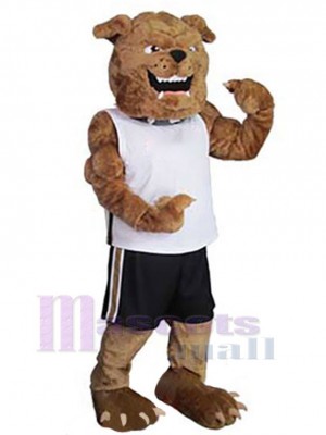 Chien costume de mascotte