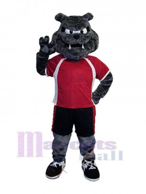 Chien costume de mascotte