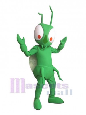 Mante costume de mascotte