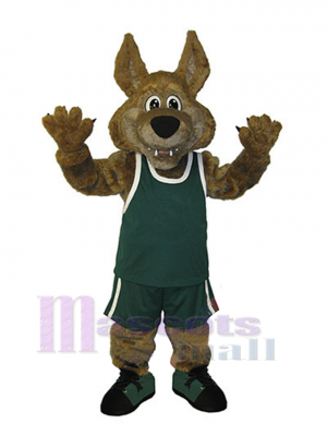 Coyote scolaire Mascotte Costume Animal