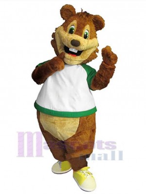 Écureuil costume de mascotte