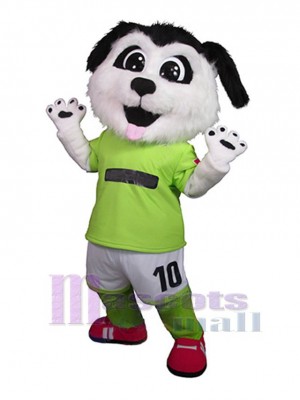 Chien costume de mascotte