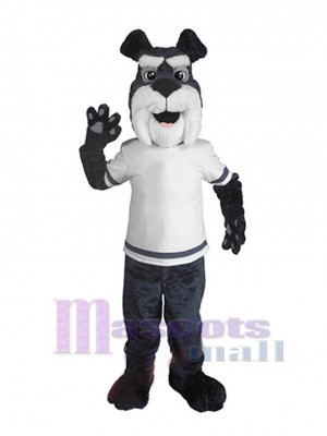 Chien costume de mascotte