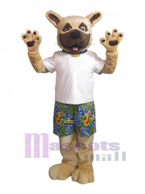 Chien costume de mascotte