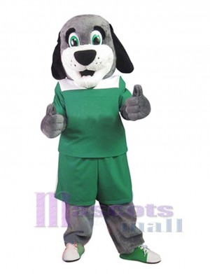 Chien costume de mascotte