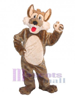 Coyote charmant Mascotte Costume Animal